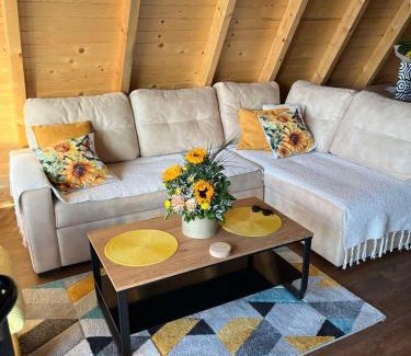 Zlatibor House | Sunflower House Radoinja