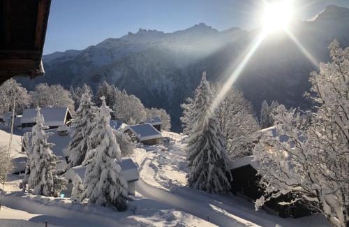 Braunwald Apartment | Sunnehuesli