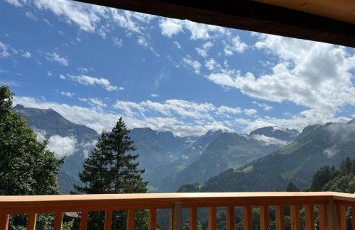 Braunwald Apartment | Sunnehuesli