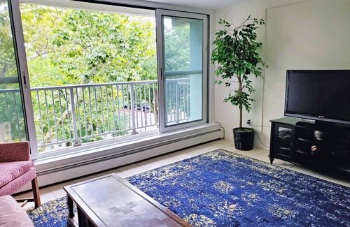 Queens Apartment | Sunny 1-bedroom apartment in Bayside, close to restaurants, shops, and train.