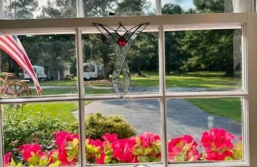 Aiken Apartment | Sunny at 135 is a wonderful place to