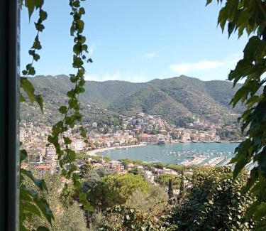 Rapallo Villa | Sunrise