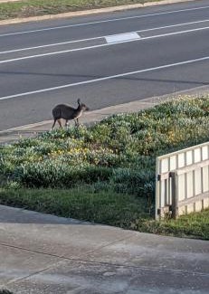 Aldinga Beach House | Sunset Guest Suite