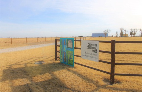 Fairview House | Sunshine Farm & Barn, Silo-Top Gazing Deck, Hammock Hub