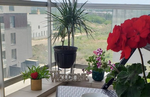 Sector 2 Apartment | SUNSHINE - New & Quiet 1BR Apt, Business area, near Airport, Highway A3, Subway