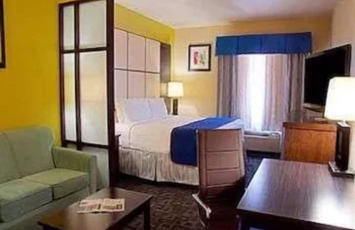 Irving Hotel | Super 8 by Wyndham Irving/DFW Apt/North