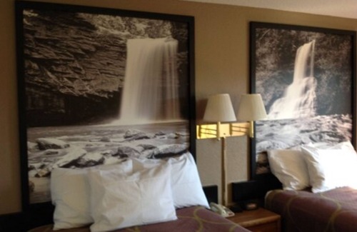 Winchester Hotel | Super 8 by Wyndham Winchester VA