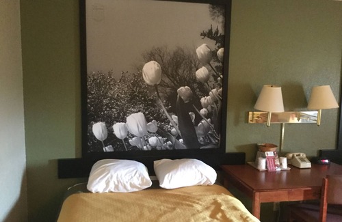 Austintown Hotel | Super 8 by Wyndham Youngstown/Austintown