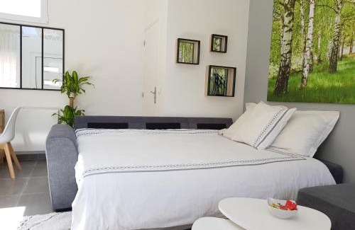Le Thillay Apartment | Super Studio cosy - a 10 min de CDG aéroport - a 30 min de Paris - a 10 min du salon d'expo Villepinte