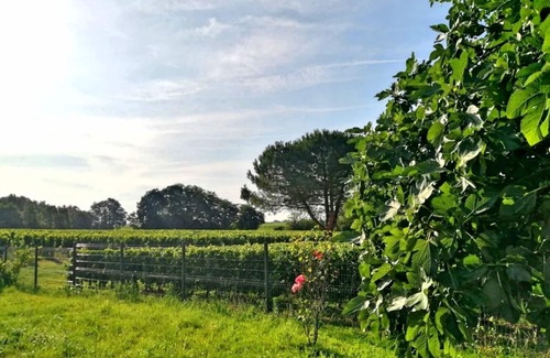 Lussac House | SUPERB STONE HOUSE very close to Saint-Emilion