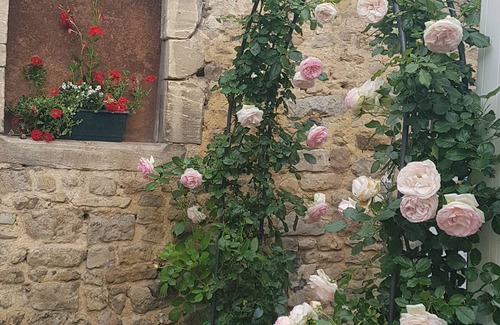 Bayeux Apartment | Superb Studio in the heart of Bayeux