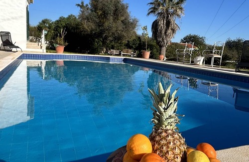 Monte Raposo Villa | Superb villa with swimming pool and garden surrounded by orange trees