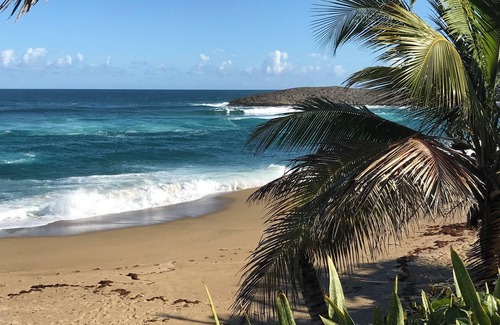 Jobos Apartment | Surf I Chill I Repeat I Walk to Montones in enchanting Jobos