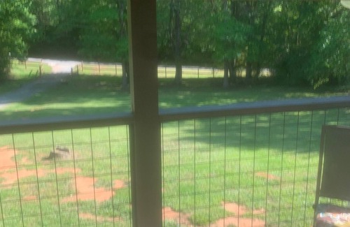 Landrum House | Surrounded by sweetgum and maple trees, this house is perfect for some R & R.