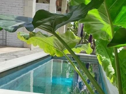 Selong Belanak Hotel | Surya Lombok Accommodation