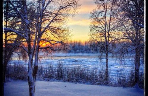 Talkeetna Cabin | Susitna River Lodging, Suites