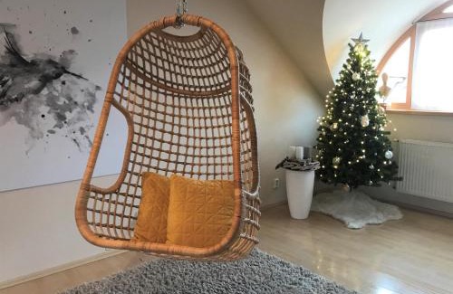 Plzen Apartment | Sv. Petr (St. Peter)