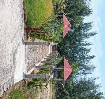 Tajpur Hotel | SWAPNASRI HOTEL & RESORT