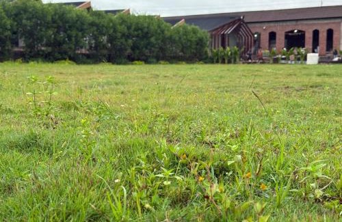 Jagdalpur Resort | Swastikanandam