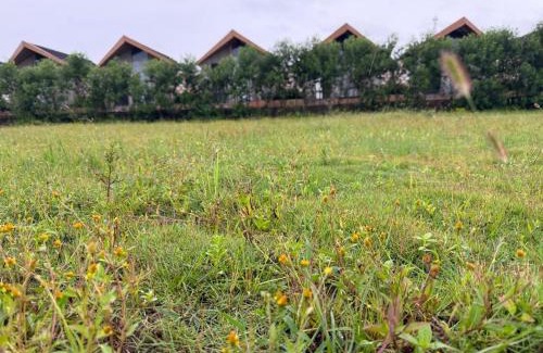 Jagdalpur Resort | Swastikanandam