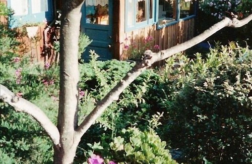 Carmel Point House | Sweet, Historic Cottage on Carmel Point