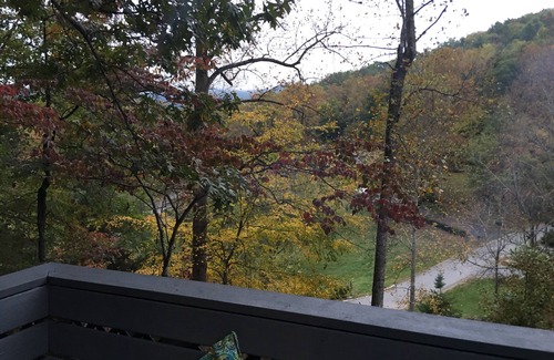Black Mountain Apartment | Sweet little first level mountain home tucked away in Black Mountain.