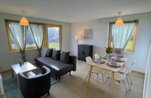 Goldiwil Apartment | SwissHut Stunning Views Alps - Apart. Aeschlen Down
