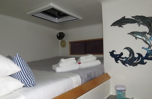 Marigot Boat Rental | SXM Turquoise Turtle Catamaran