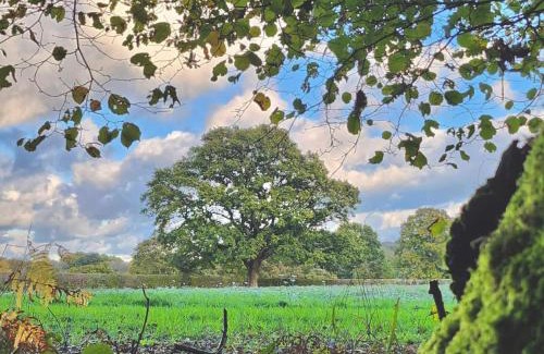 Lickfold House | Sybs Farm Shepherds Hut