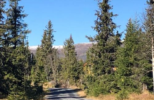 Nordre Land House | Sykkelhytte ved Slåtten i Synnfjellet