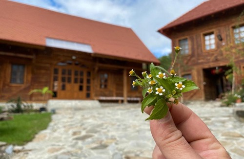 Siclod House | Székelyföld,Siklódi Kő Vendégház, Csűr