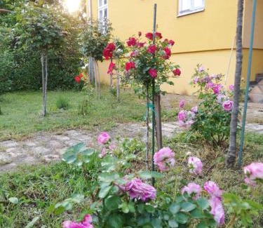 Senta Apartment | Szorcsik Ház 1913