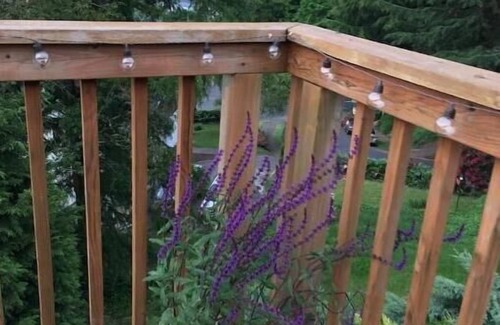 Mount Tabor House | Tabor Hillside Retreat over the trees, walk to trails, and Montavilla cafes.