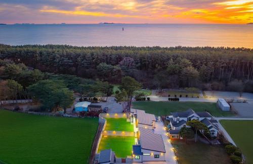 Taean Villa | Taean Dog Day Pet Pool Villa