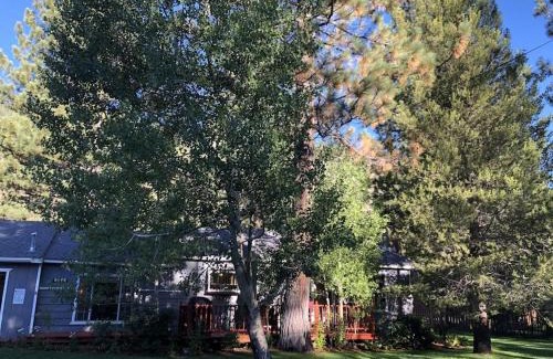 Christmas Valley House | Tahoe Cottage perfect for couples and outdoor enthusiasts