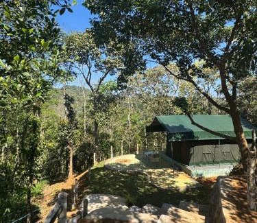 Mananthavady Other | Taiga Forest