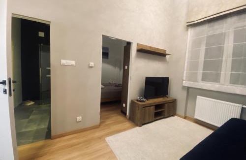 Przemysl Apartment | TALIA Apartament Tatarska 4
