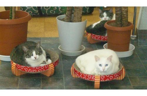 Isinomaki Hotel | TAMA HOTEL - Vacation STAY 41333v