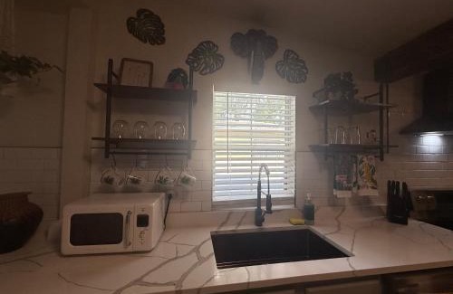 Tampa House | Tampa Jungalow- Pool Oasis