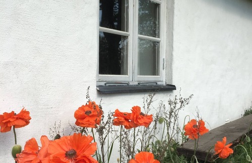 Loderup House | Tastefully decorated Skåne meadow in nature reserve near the sea