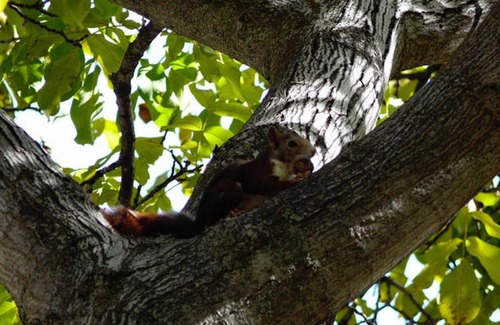 Guejar Sierra House | Telecabina las Catifas