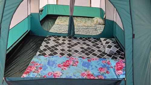 Al Kubus Other | Tent Camping at Greenland Farm