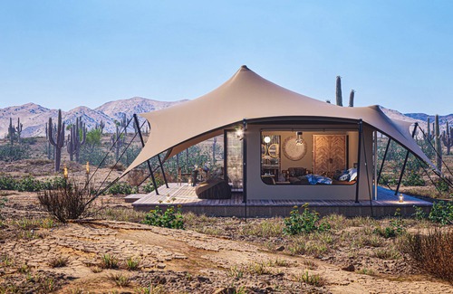 Marana House | Tent Saguaro