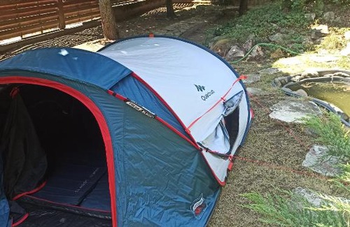 Sturovo Other | Tent /Stan