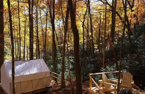 Brevard RV Rental | Tentrr Signature Site - First Draw Creek