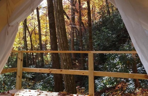 Brevard RV Rental | Tentrr Signature Site - First Draw Creek