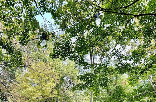 Clarksville RV Rental | Tentrr Signature Site - Lost in the Woods