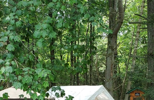 Huntington Mills RV Rental | Tentrr Signature Site - Paper Mill Pines Glamping Getaway
