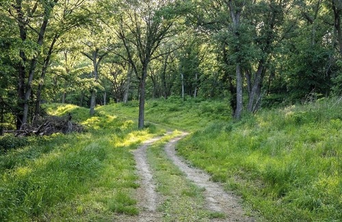Thurston County RV Rental | Tentrr Signature Site - Hackberry Campsite 2