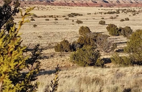 Chambers RV Rental | Tentrr Signature Site - Million Stars Campsite in Petrified Forest - Bliss